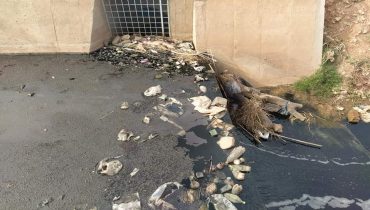 FB IMG 1605894109878  - شأنكم Tv