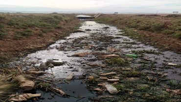 FB IMG 1605894113546  - شأنكم Tv