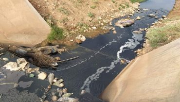 FB IMG 1605894115398  - شأنكم Tv