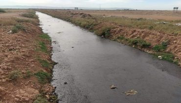 FB IMG 1605894118400  - شأنكم Tv