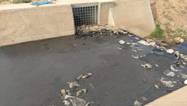 FB IMG 1605894121486  - شأنكم Tv