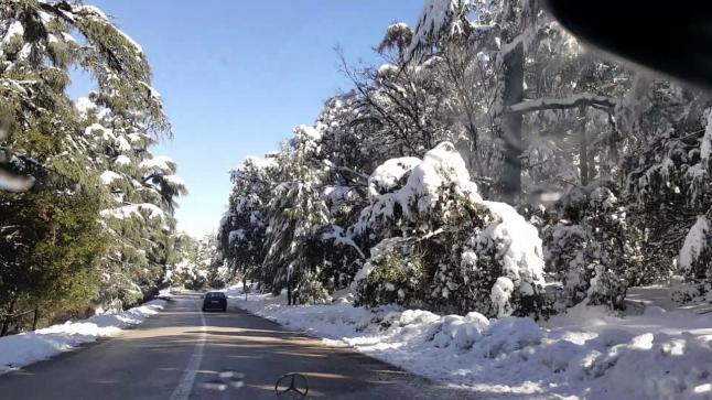  مدينة افران 6y5te1n7gr2brc3tkdtb7xw99ycnoyqh4grxe6h6k9j - شأنكم Tv