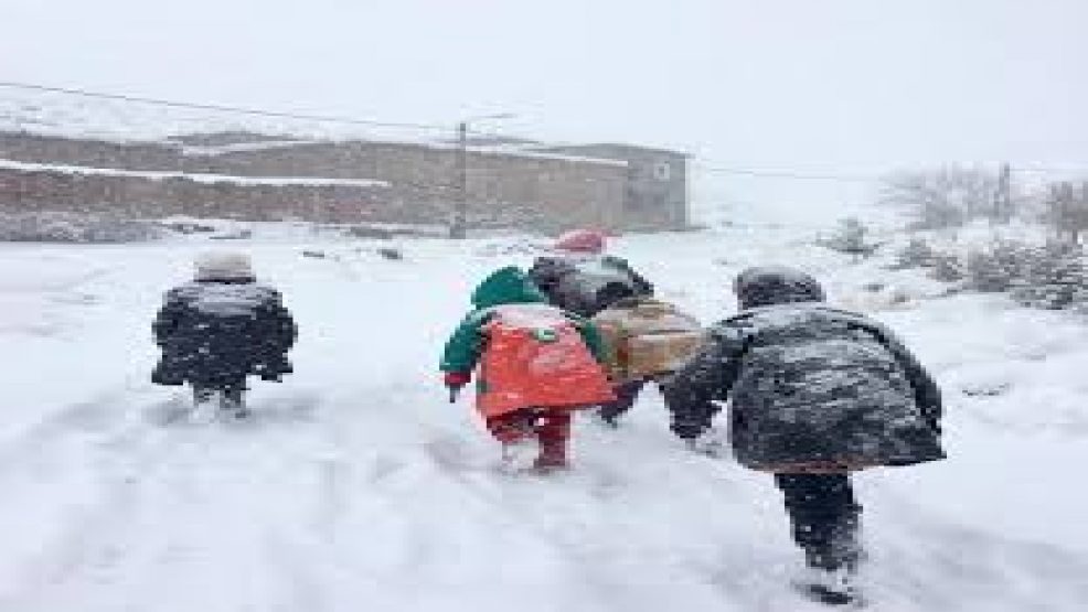 images 2021 01 24T000753 - شأنكم Tv