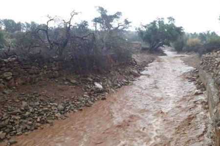  1 1 450x300 1 - شأنكم Tv