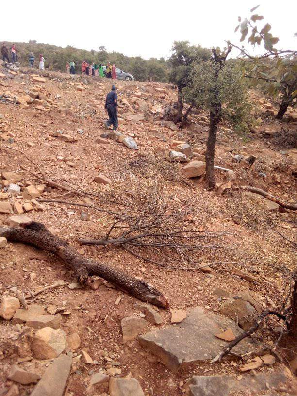 IMG 20221009 WA0048 - شأنكم Tv