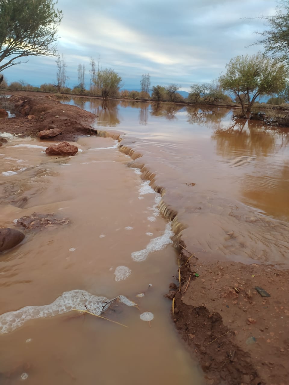 IMG 20221012 WA0010 - شأنكم Tv