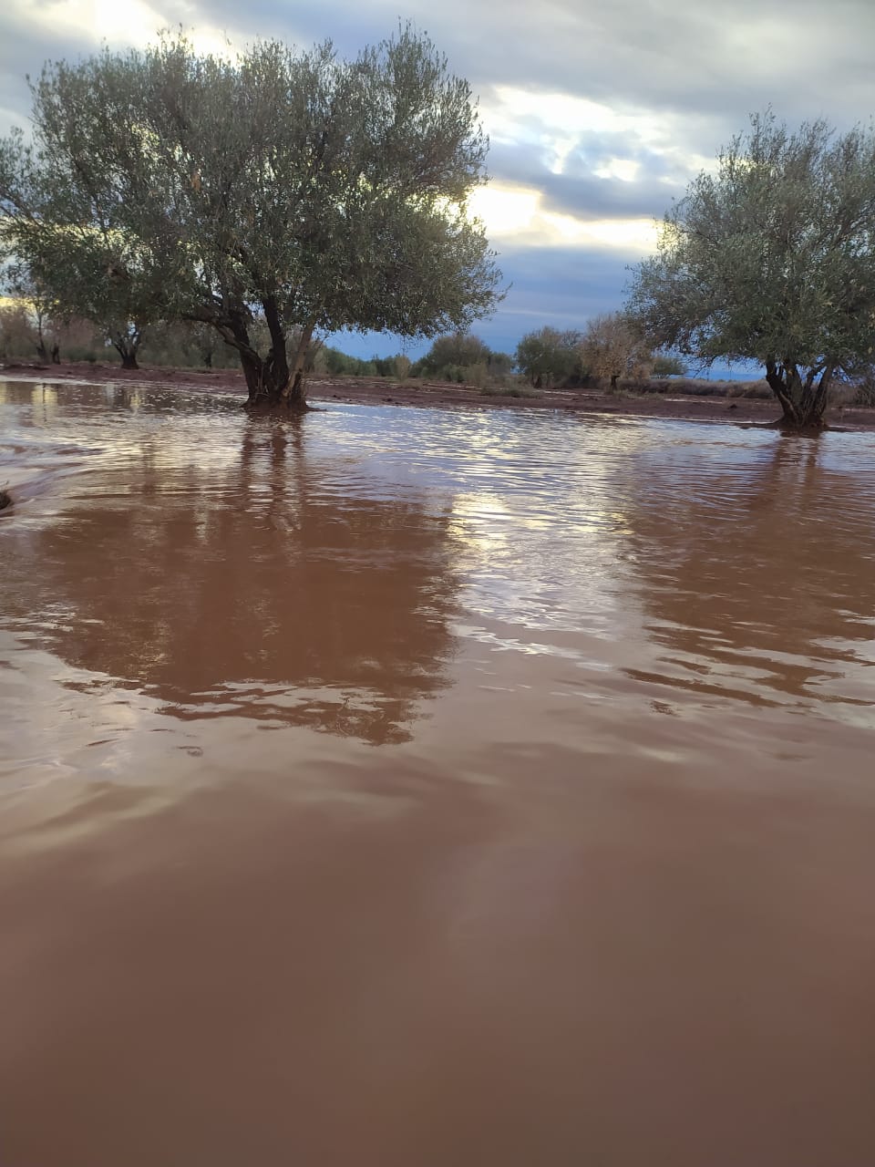 IMG 20221012 WA0013 1 - شأنكم Tv