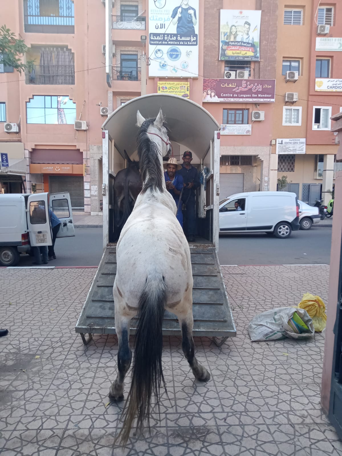 IMG 20221026 WA0021 - شأنكم Tv