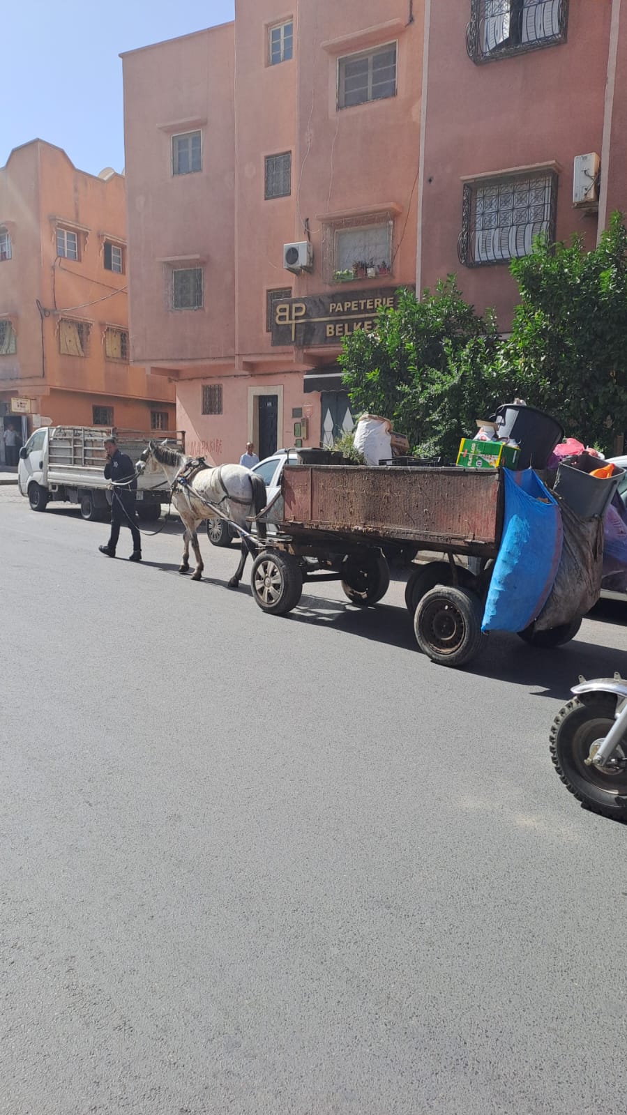 IMG 20221026 WA0025 - شأنكم Tv