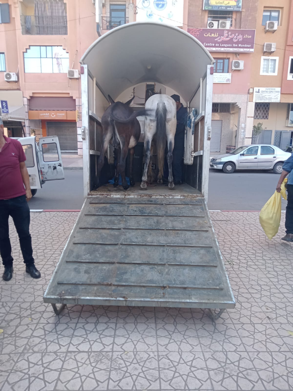 IMG 20221026 WA0026 - شأنكم Tv