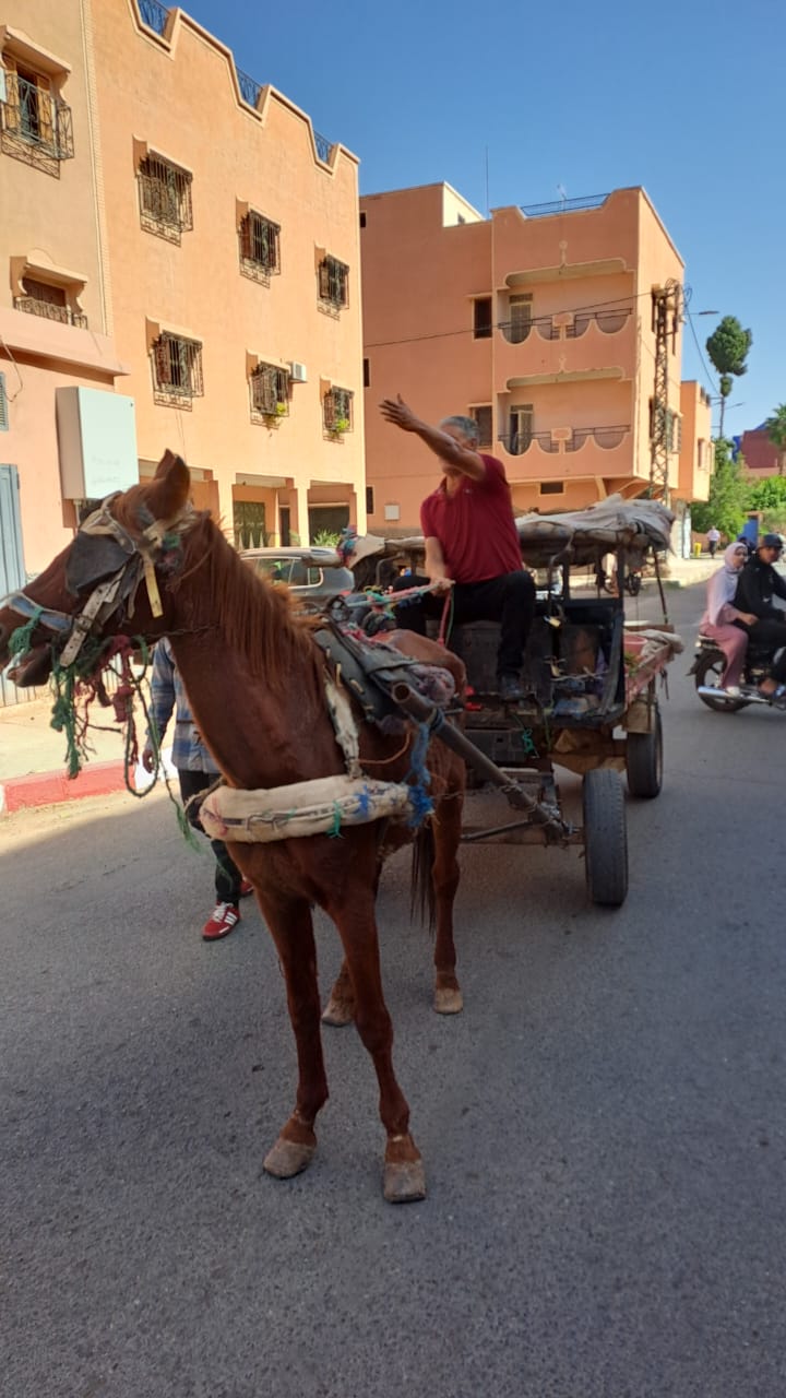 IMG 20221026 WA0032 - شأنكم Tv