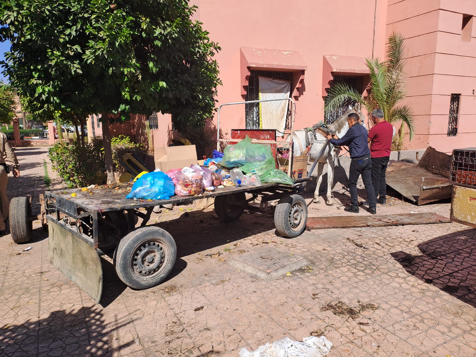 IMG 20221027 WA0023 - شأنكم Tv