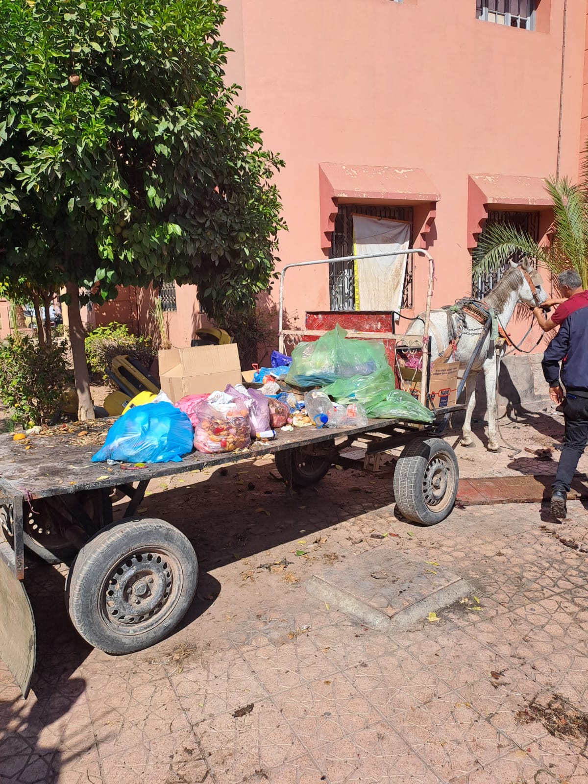 IMG 20221027 WA0024 - شأنكم Tv