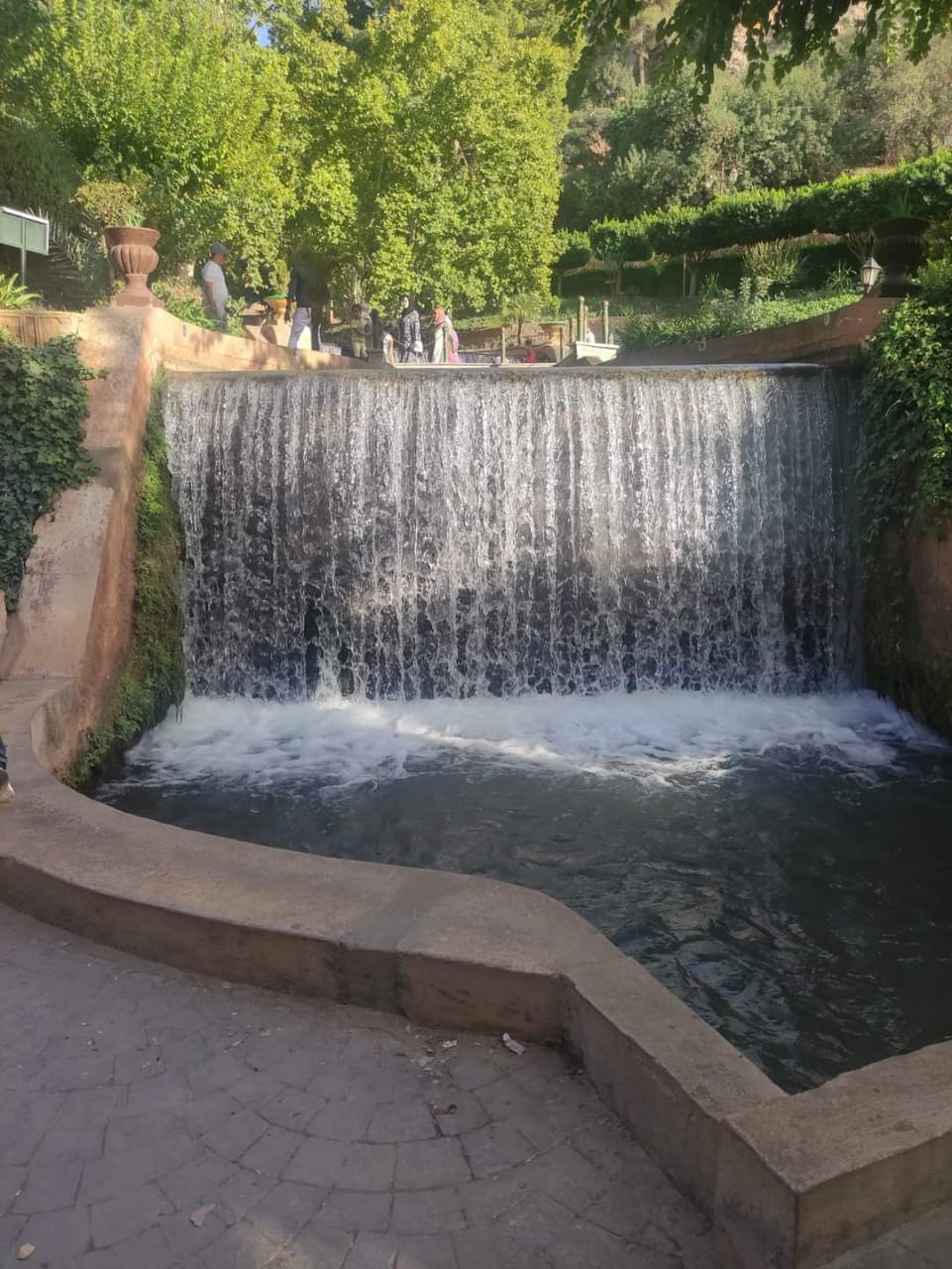 IMG 20221101 WA0108 - شأنكم Tv