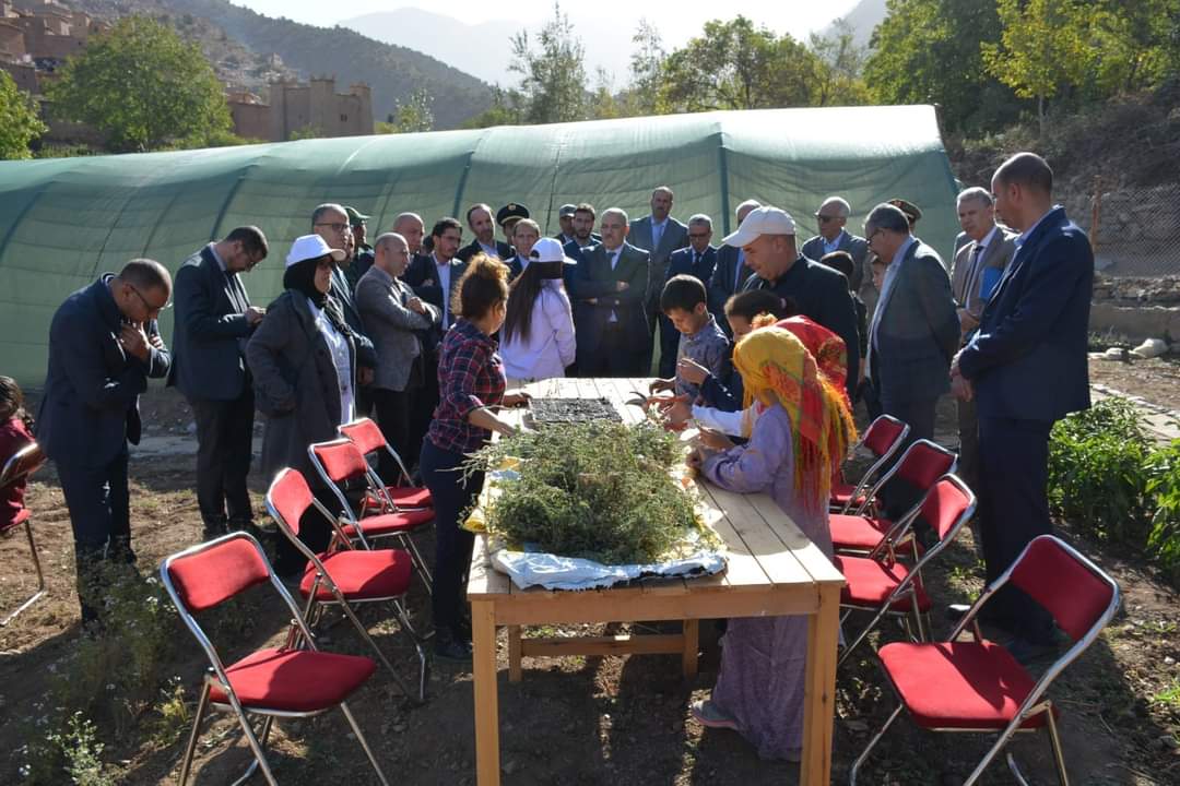 IMG 20221104 WA0026 - شأنكم Tv