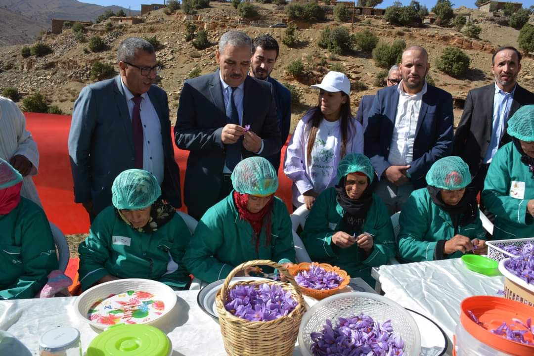 IMG 20221104 WA0027 1 - شأنكم Tv