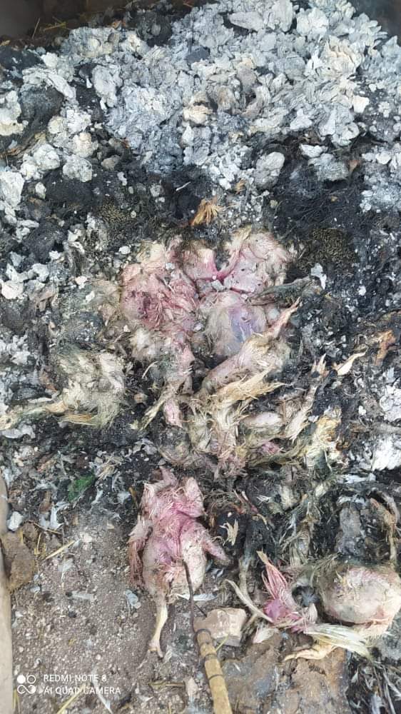 IMG 20221123 WA0068 - شأنكم Tv