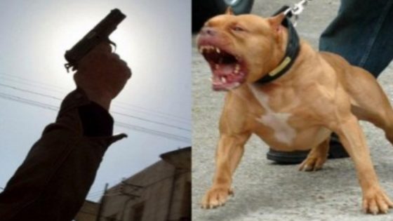 تدخل امني لايقاف شخص هائج قام بتحريض كلب شرس ضد رجال الامن