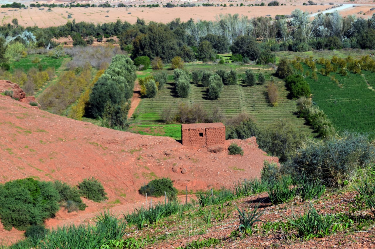 IMG 20221222 WA0090 - شأنكم Tv