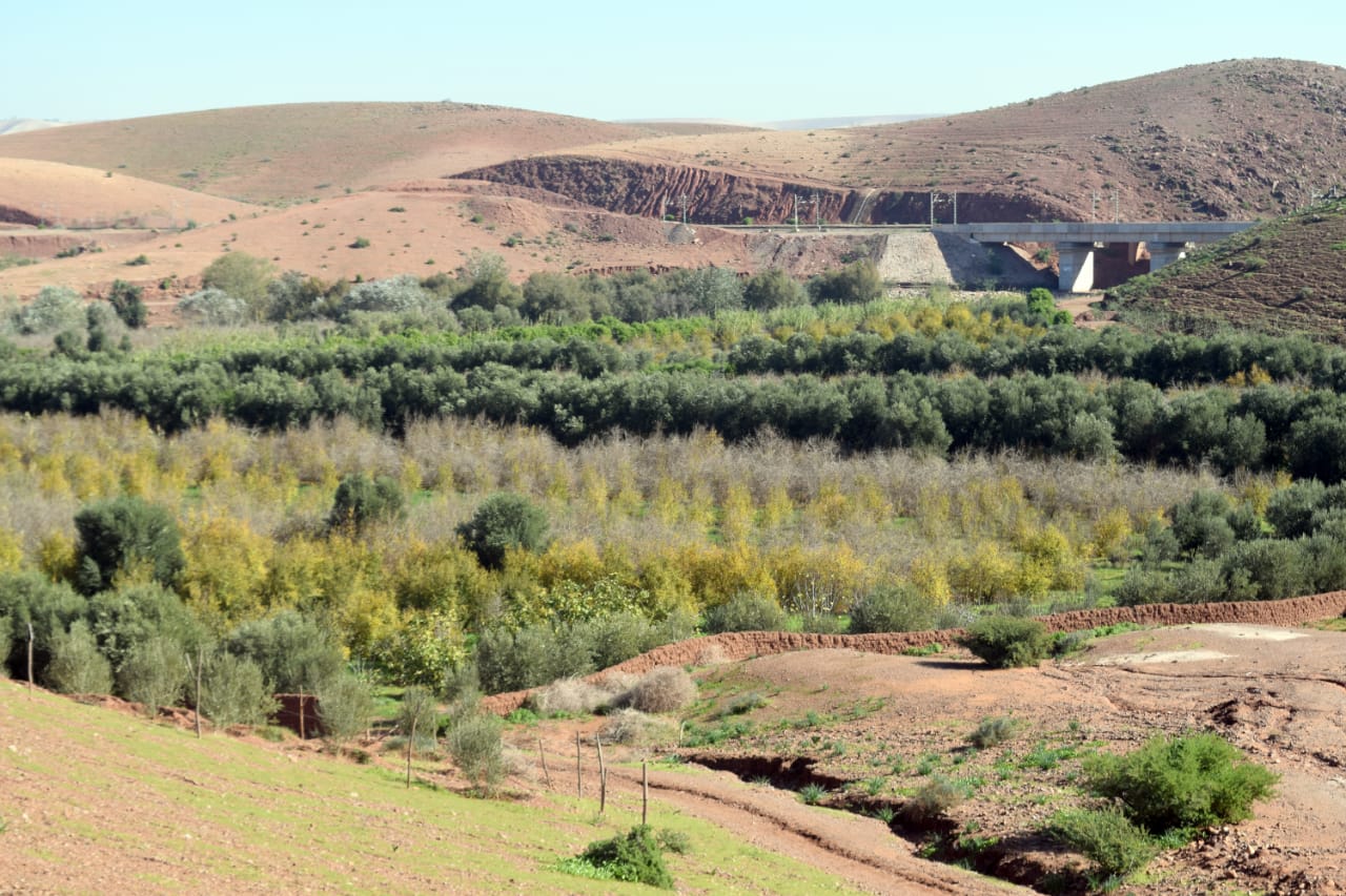 IMG 20221222 WA0091 - شأنكم Tv