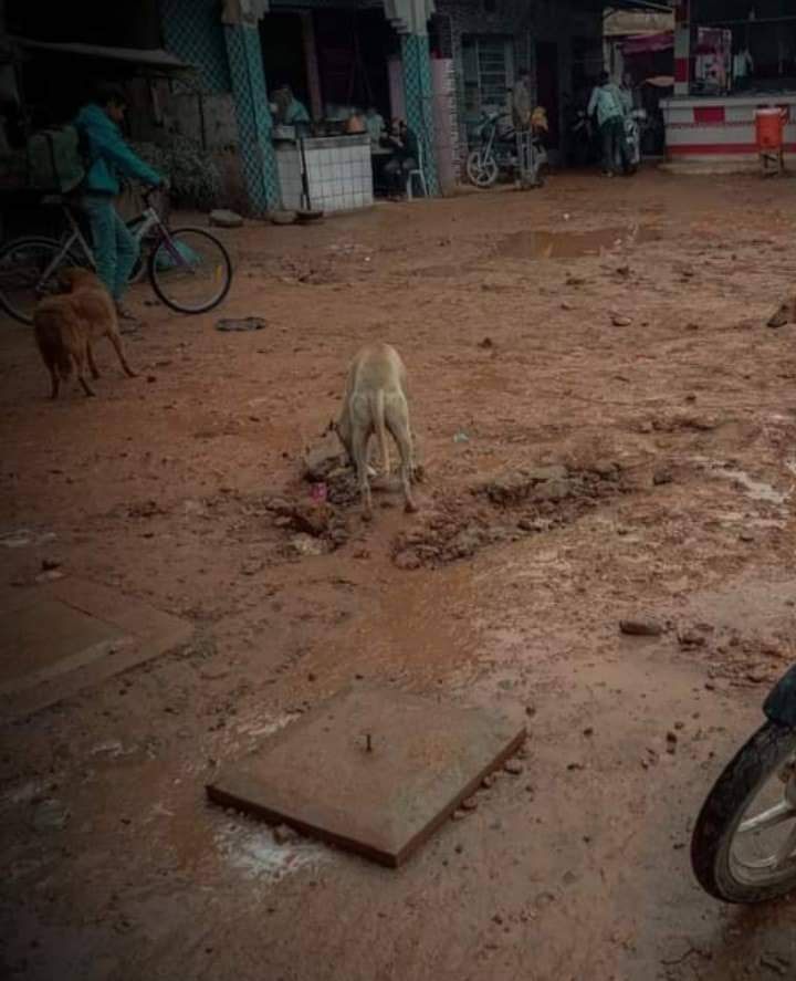 IMG 20221230 WA0048 - شأنكم Tv