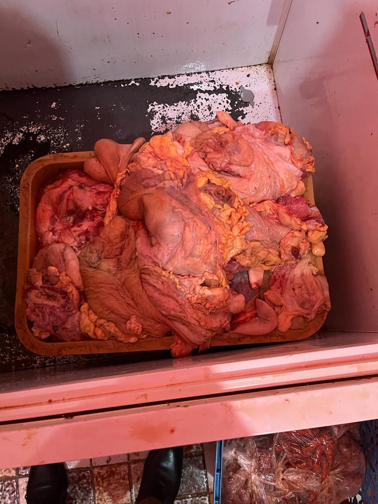 IMG 20230117 WA0035 - شأنكم Tv