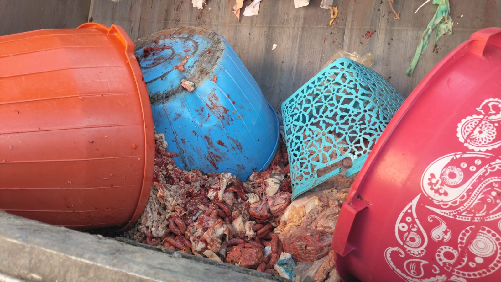 IMG 20230117 WA0048 - شأنكم Tv