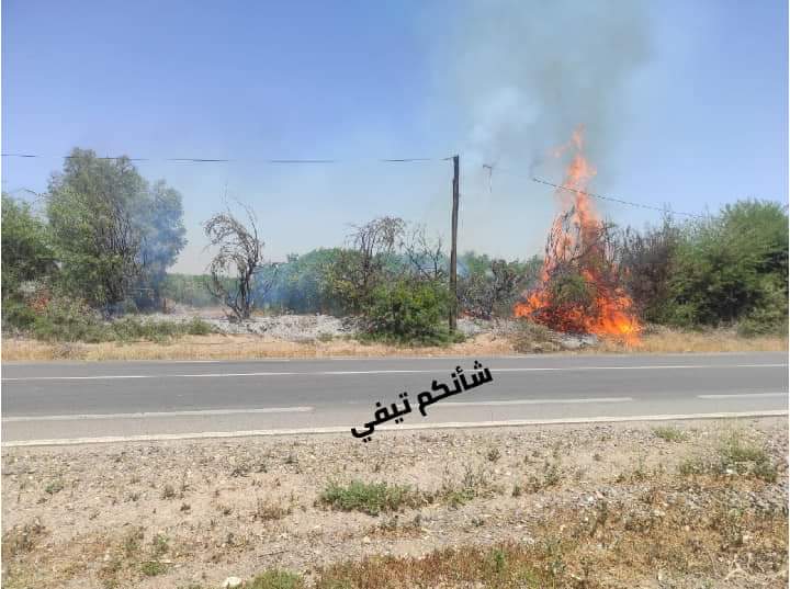 FB IMG 1681488185094 - شأنكم Tv