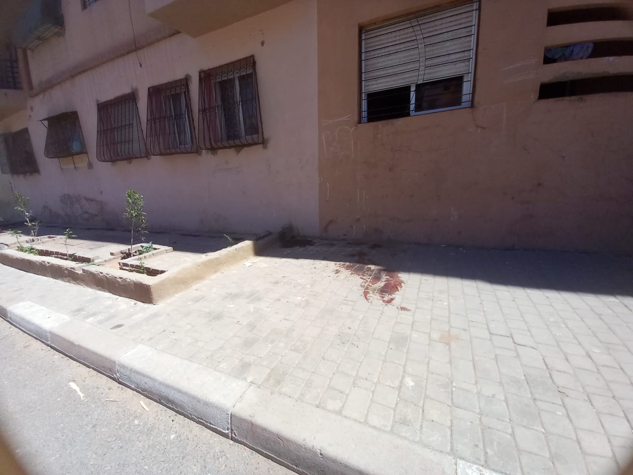 IMG 20230402 WA0050 - شأنكم Tv