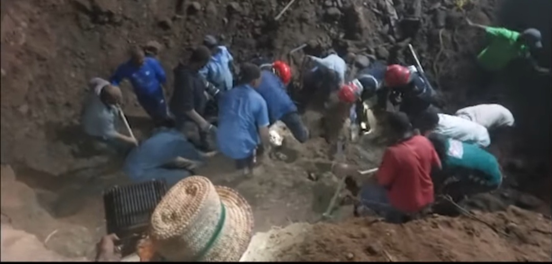 Screenshot 20230412 010754 - شأنكم Tv