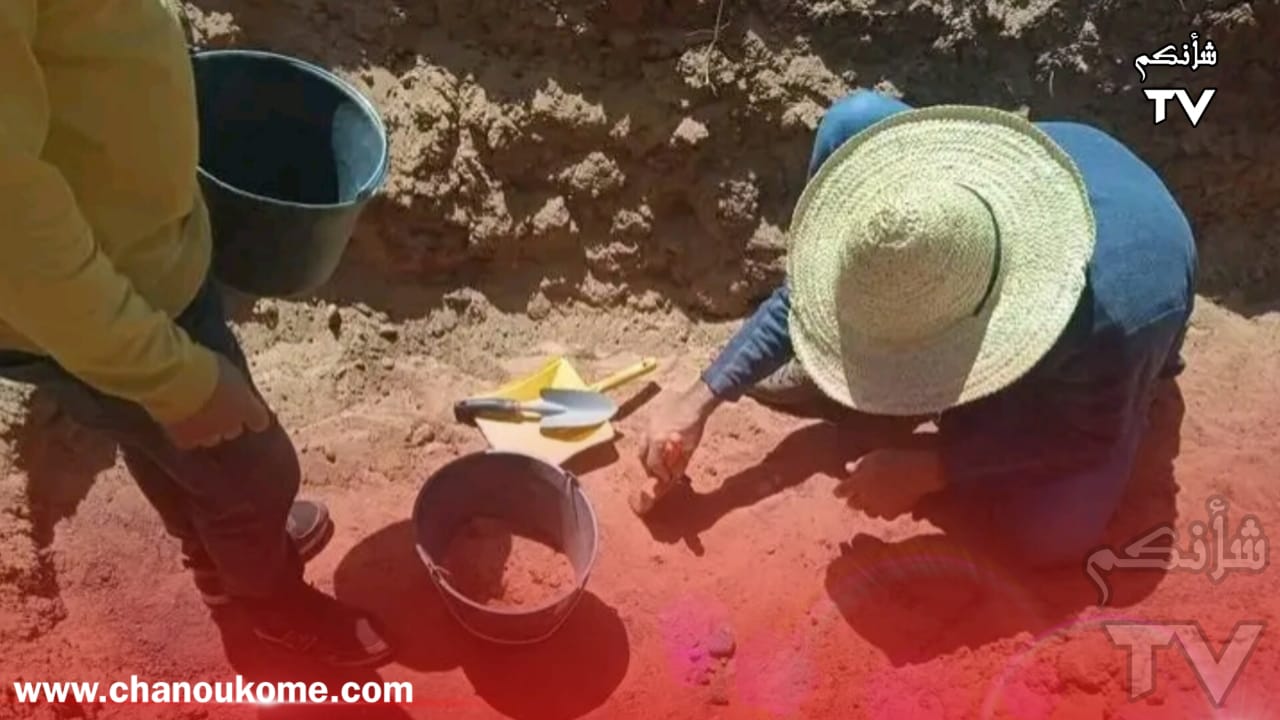 IMG 20230517 WA0032 - شأنكم Tv