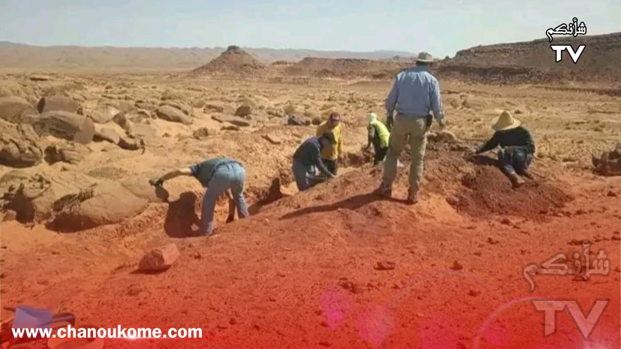 IMG 20230517 WA0033 - شأنكم Tv