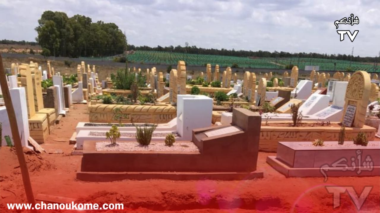 IMG 20230605 WA0086 - شأنكم Tv