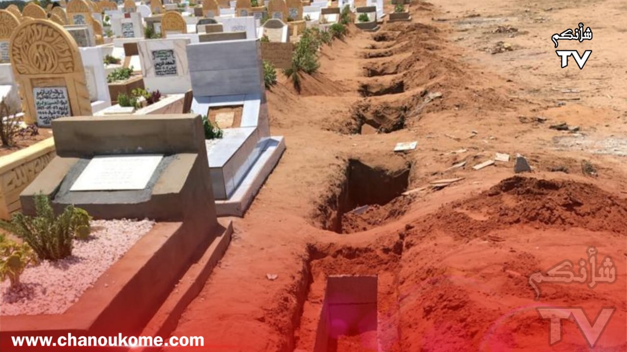 IMG 20230605 WA0088 - شأنكم Tv