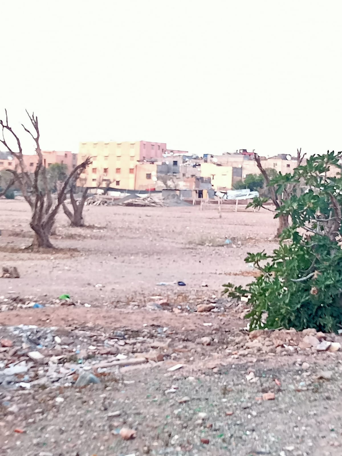 IMG 20230609 WA0014 - شأنكم Tv