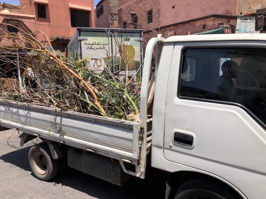 4a53f85e e7c4 4105 9173 aa5eea2646da 540x405 2 - شأنكم Tv