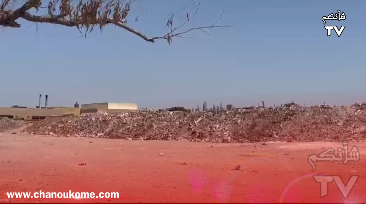 IMG 20230731 WA0122 - شأنكم Tv