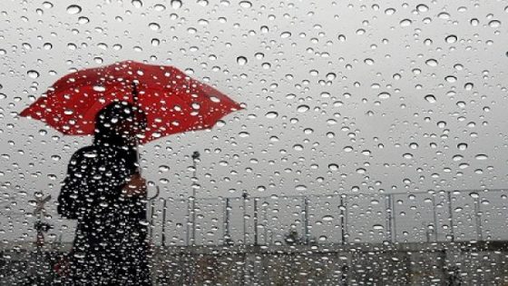 نشرة إنذارية.. زخات رعدية محليا قوية مرتقبة اليوم الثلاثاء بعدد من مناطق المملكة