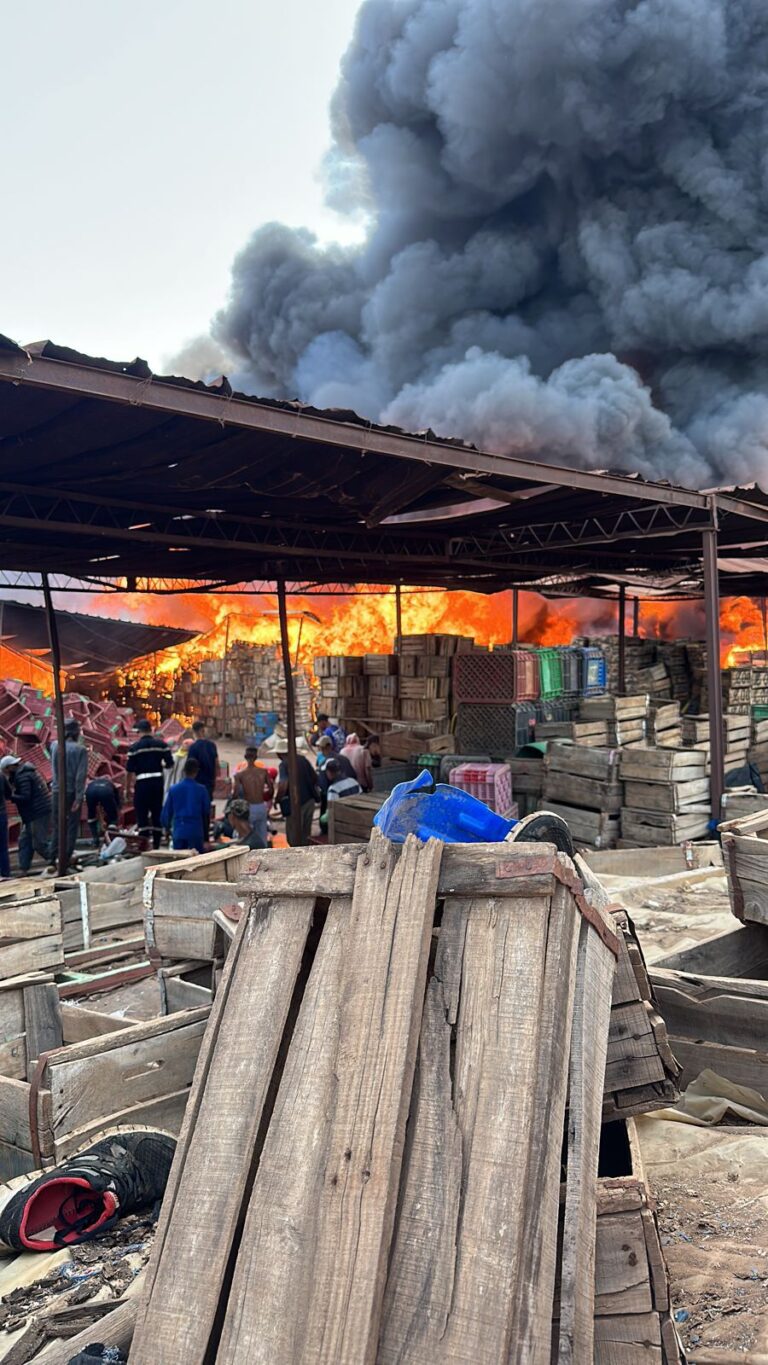 5A01D845 0A1E 4547 8B0E 1C27EF73934B 768x1365 1 - شأنكم Tv