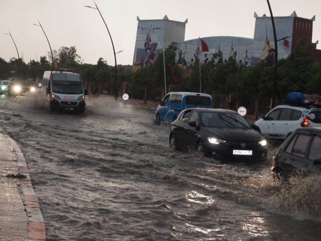 8F6511BD 5A90 4CAA AC78 38237041E9E2 - شأنكم Tv