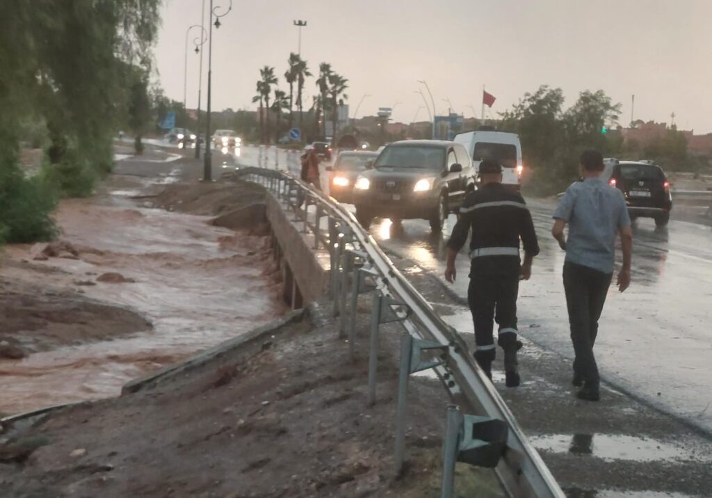 B4C8E284 5DBF 47E7 93CC 10454B371A1C - شأنكم Tv