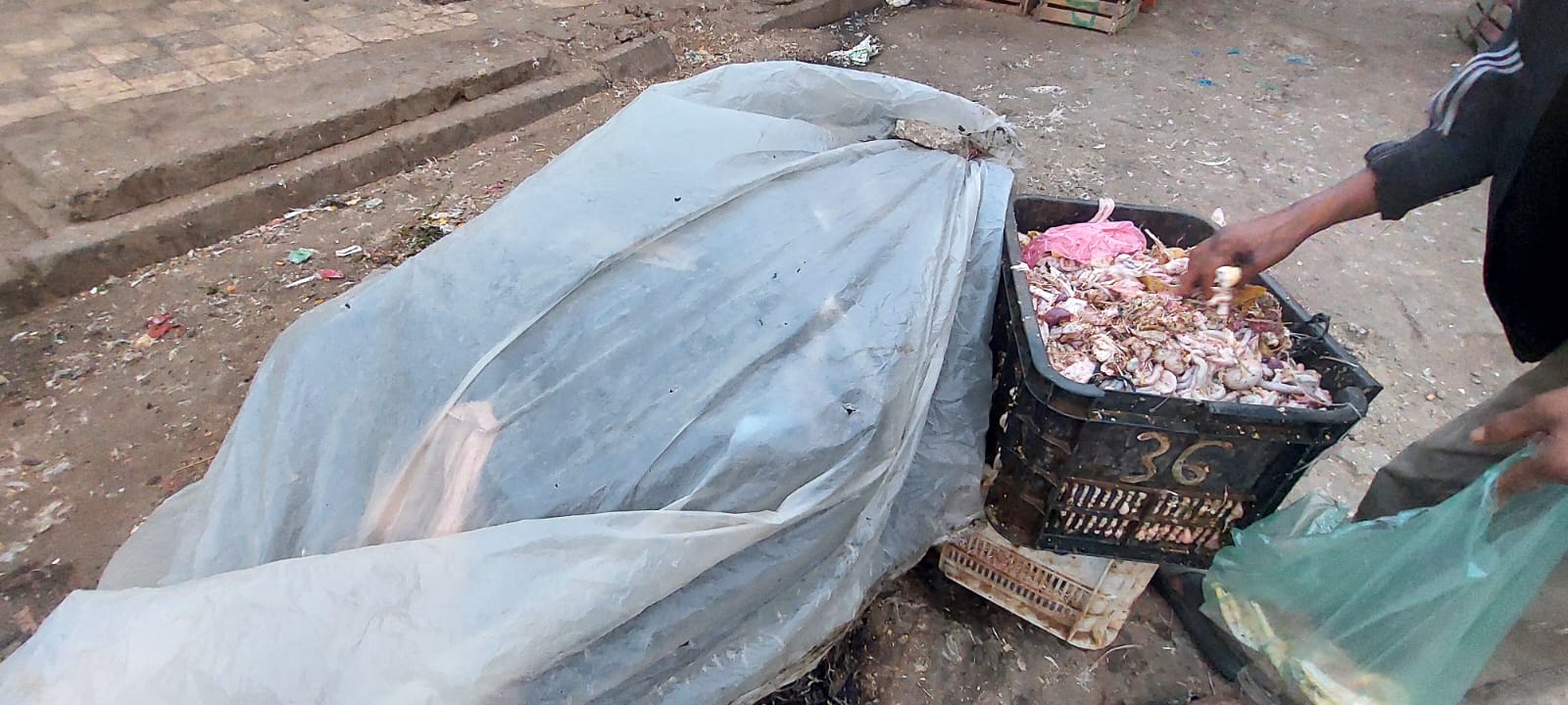 IMG 20230807 WA0022 - شأنكم Tv