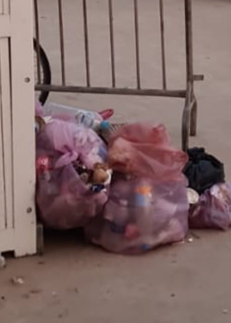 IMG 20230826 WA0001 1 - شأنكم Tv