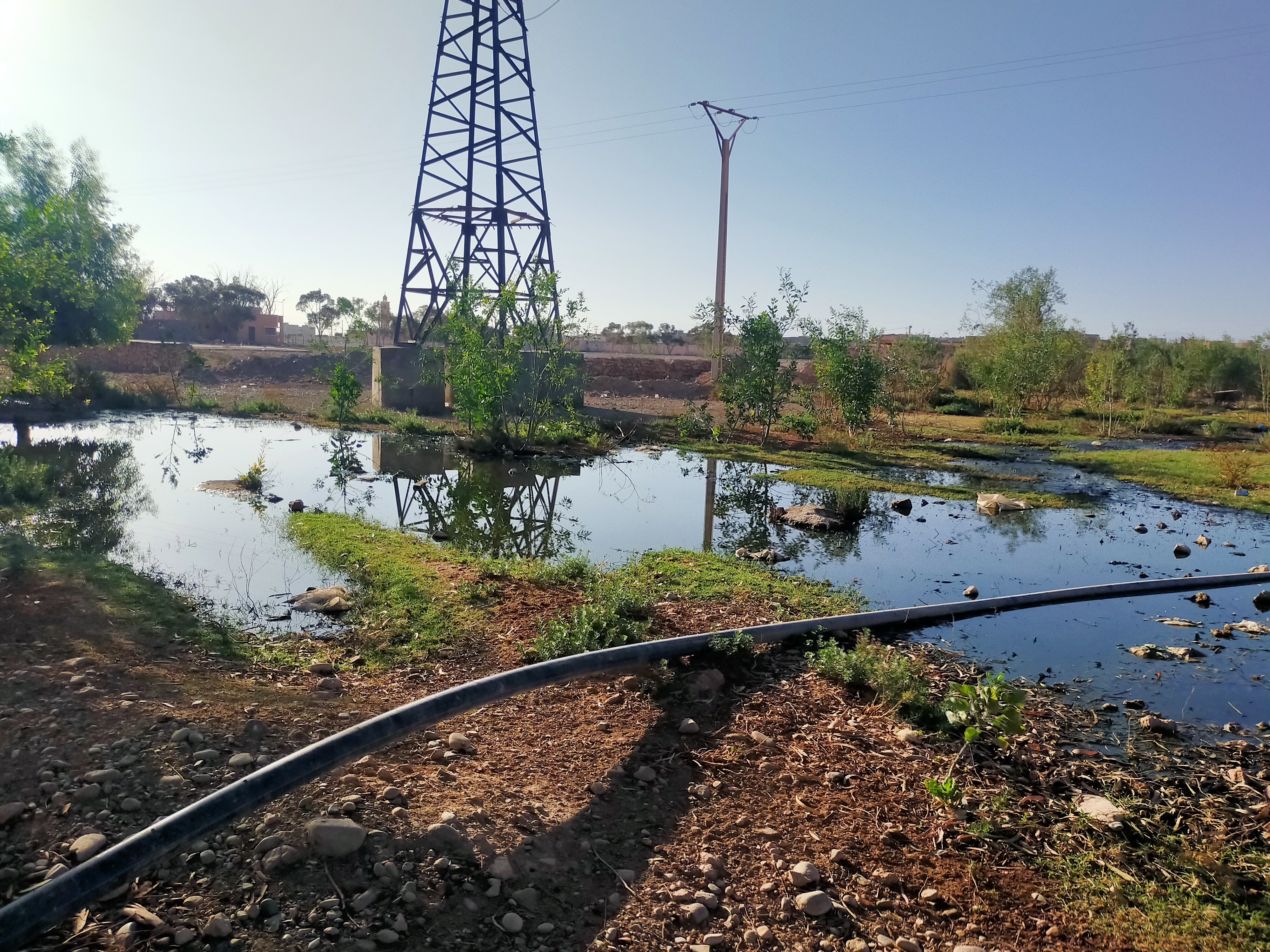 IMG 20230904 WA0063 - شأنكم Tv