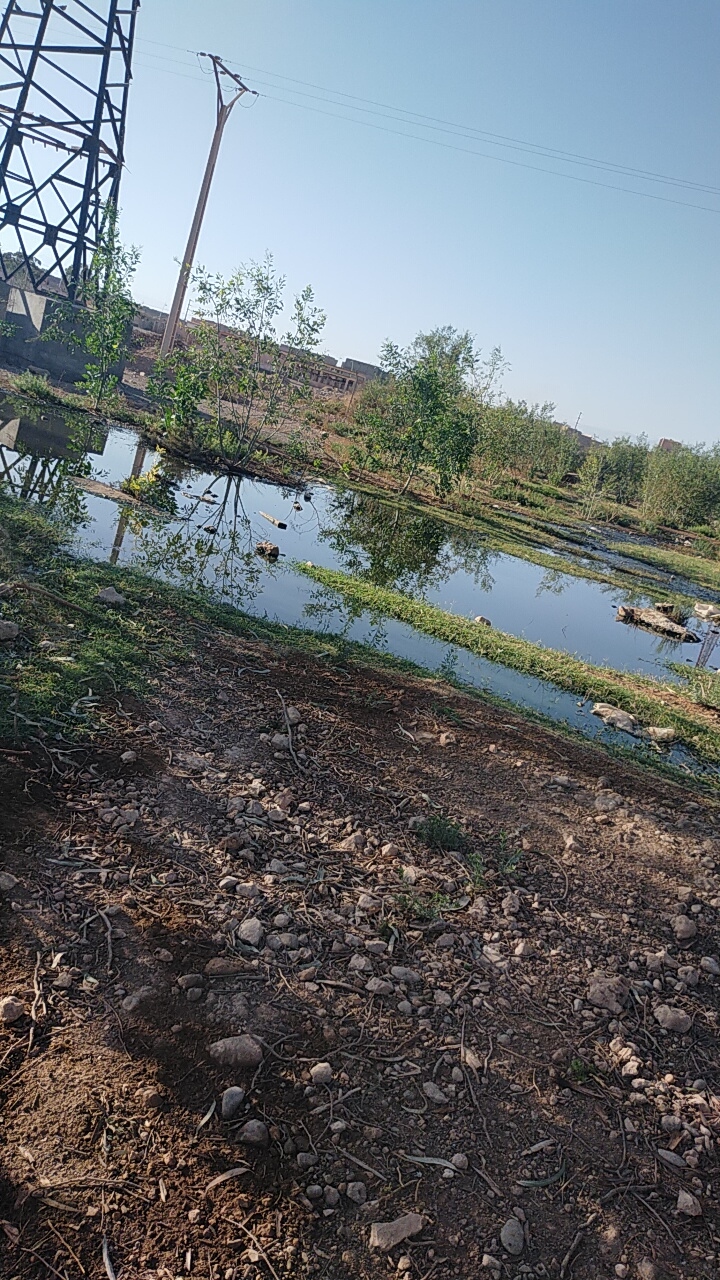 IMG 20230904 WA0066 - شأنكم Tv