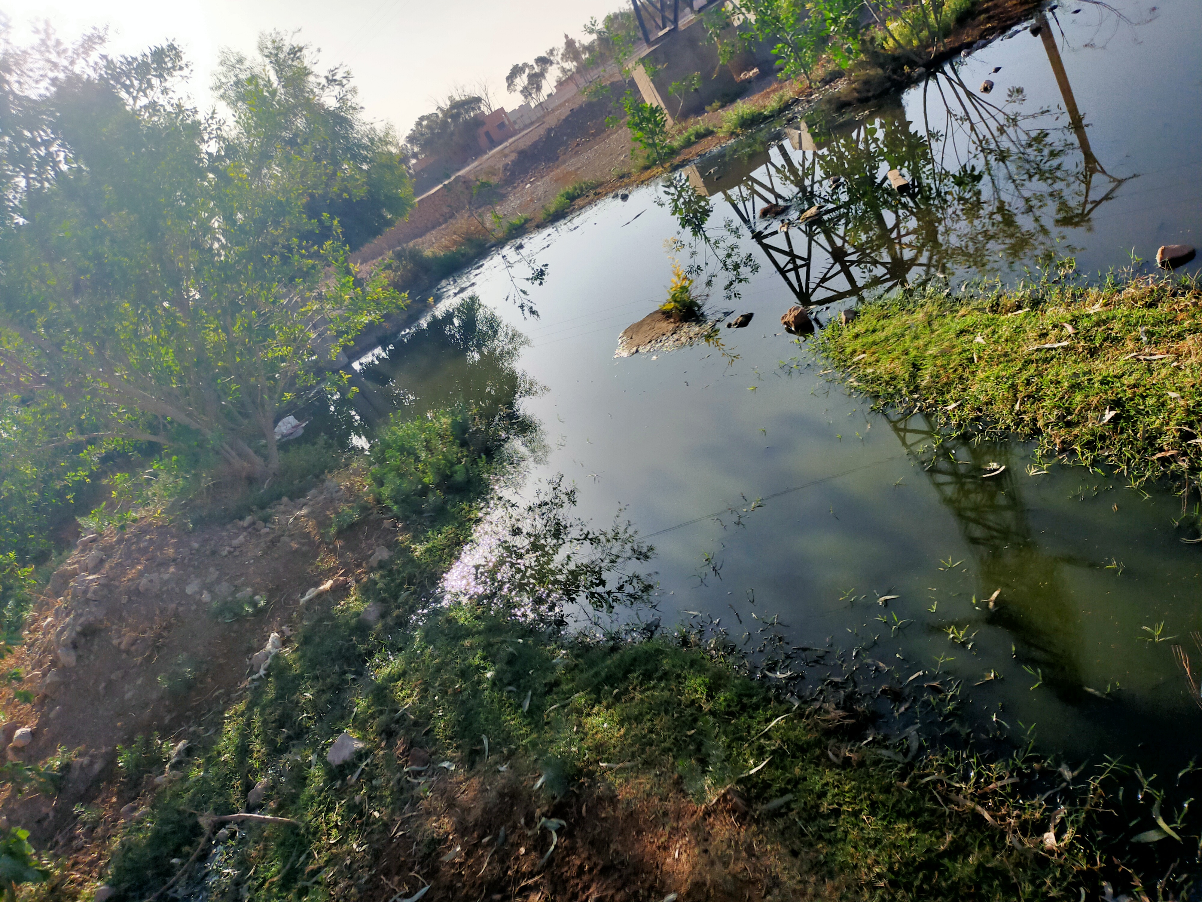 IMG 20230904 WA0070 - شأنكم Tv