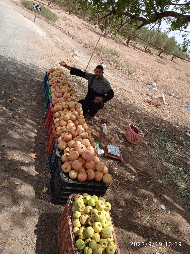 IMG 20231110 WA0014 - شأنكم Tv