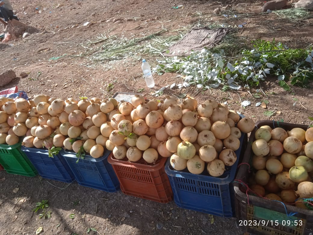 IMG 20231110 WA0016 - شأنكم Tv