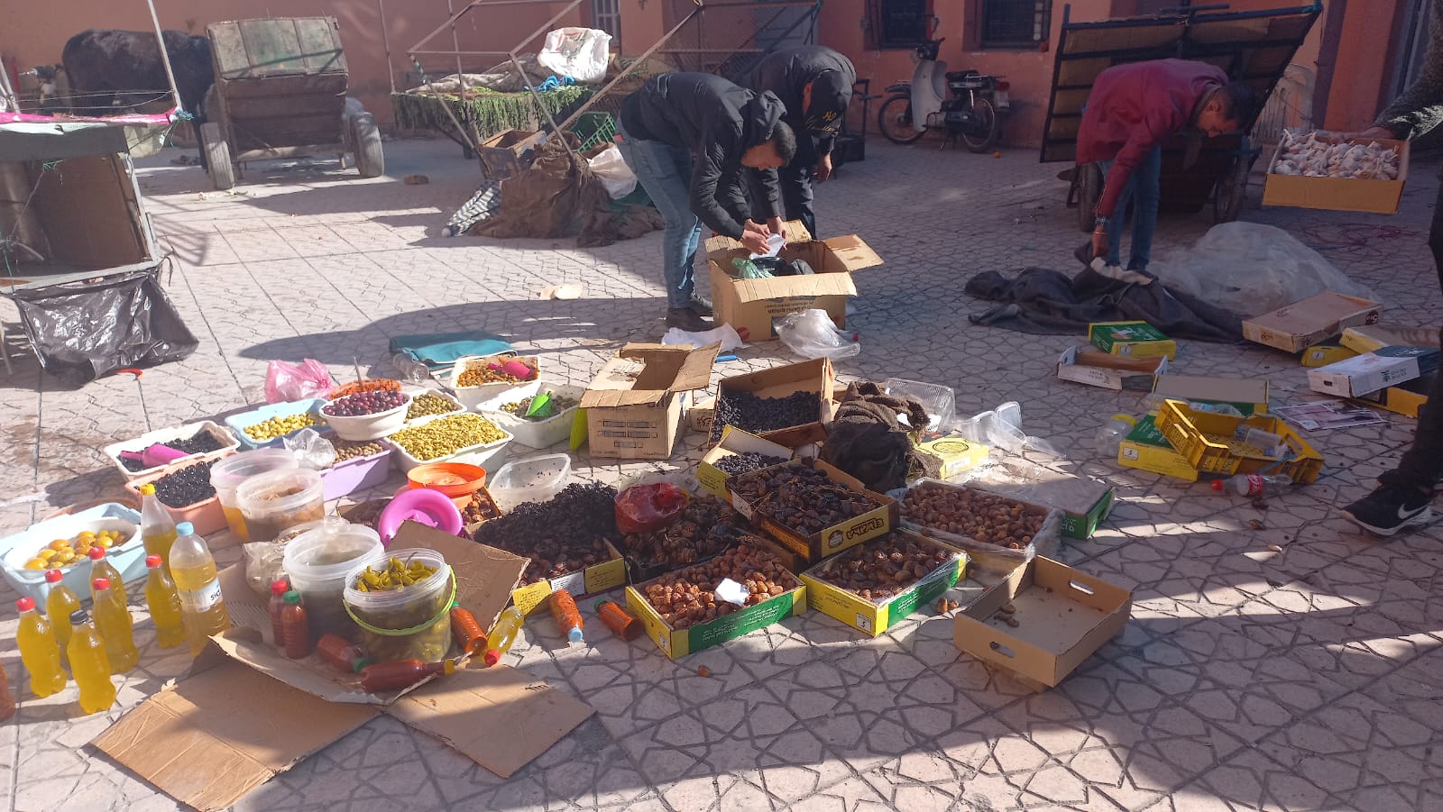 IMG 20231220 WA0178 - شأنكم Tv