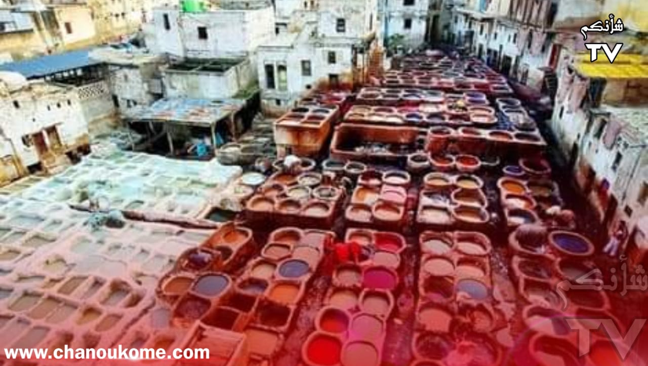 IMG 20240105 WA0049 - شأنكم Tv